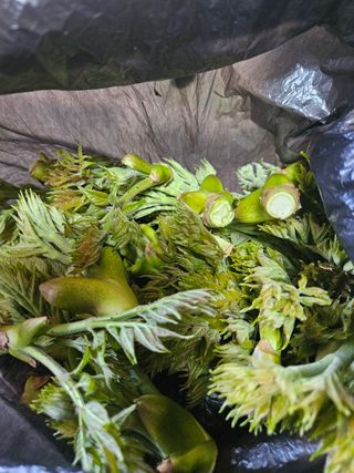 땅끝해남님의 자유주제 · 자유게시판 작성글 사진