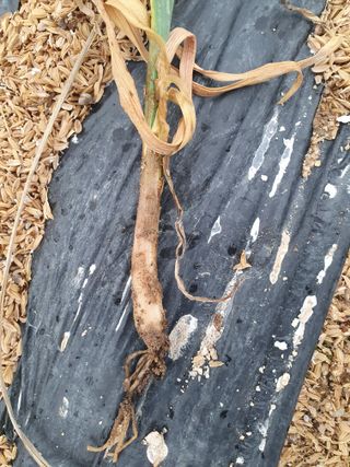 장병노님의 자유주제 · 자유게시판 작성글 사진