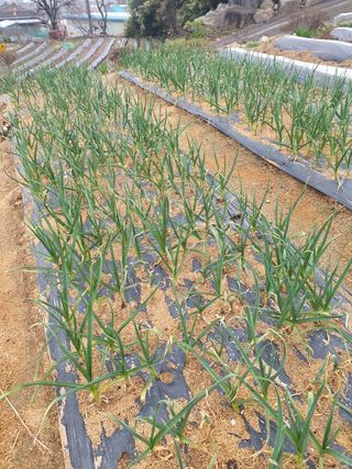 장병노님의 자유주제 · 자유게시판 작성글 사진