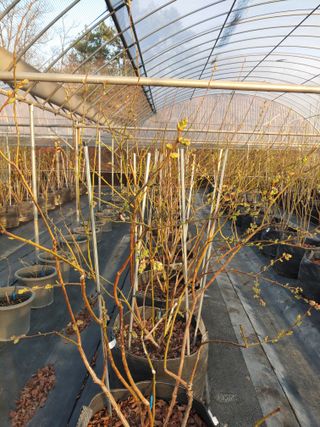 도경회님의 4월 내 작물 자랑하기 · 참여글 작성글 사진