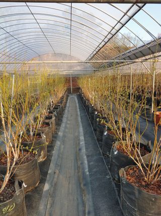 도경회님의 4월 내 작물 자랑하기 · 참여글 작성글 사진