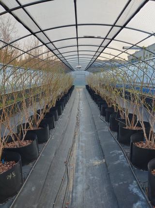 도경회님의 4월 내 작물 자랑하기 · 참여글 작성글 사진