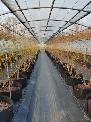 도경회님의 4월 내 작물 자랑하기 · 참여글 작성글 사진