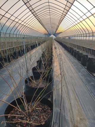 도경회님의 4월 내 작물 자랑하기 · 참여글 작성글 사진