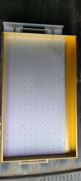 팜모닝 자유주제·자유게시판 게시글 이미지