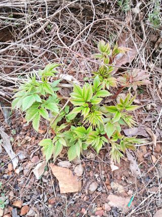 bpjh9173님의 자유주제 · 사진전 작성글 사진