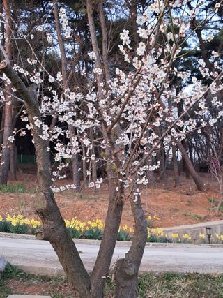 bpjh9173님의 자유주제 · 사진전 작성글 사진