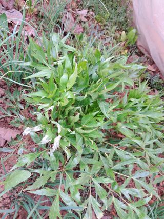 bpjh9173님의 자유주제 · 사진전 작성글 사진