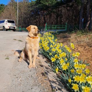 bpjh9173님의 자유주제 · 사진전 작성글 사진