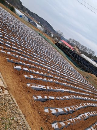 bpjh9173님의 자유주제 · 사진전 작성글 사진