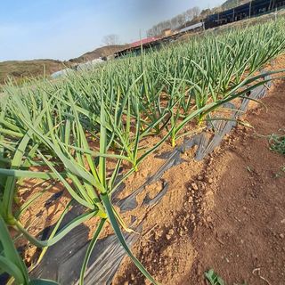 bpjh9173님의 자유주제 · 사진전 작성글 사진