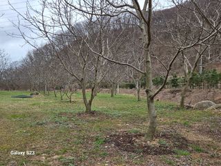 파랑새하늘을날다님의 농사, 무엇이든 물어보세요! · 참여글 작성글 사진