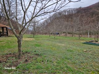 파랑새하늘을날다님의 농사, 무엇이든 물어보세요! · 참여글 작성글 사진