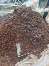 팜모닝 자유주제·자유게시판 게시글 이미지