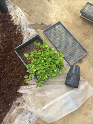 하늘농원님의 자유주제 · 자유게시판 작성글 사진