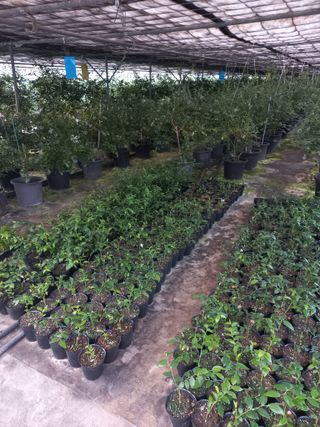 하늘농원님의 자유주제 · 자유게시판 작성글 사진