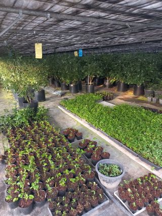 하늘농원님의 자유주제 · 자유게시판 작성글 사진