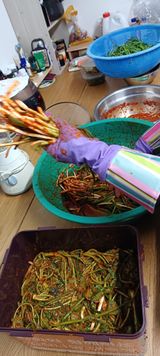 팜모닝 파·영농일지 게시글 이미지