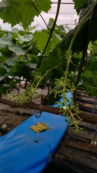 알 수 없음님의 자유주제 · 자유게시판 작성글 사진