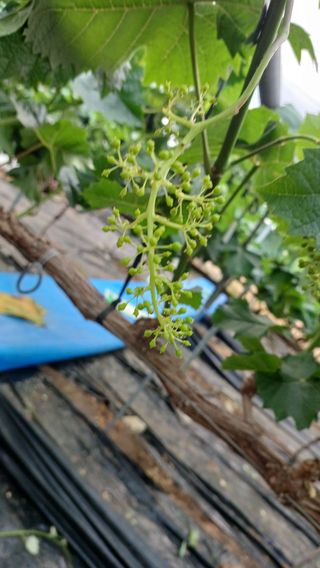 알 수 없음님의 자유주제 · 자유게시판 작성글 사진