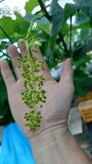 알 수 없음님의 자유주제 · 자유게시판 작성글 사진