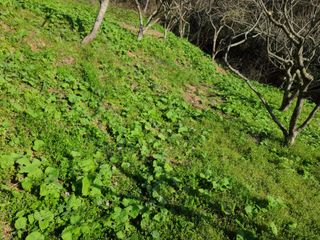 경희아짐님의 자유주제 · 자유게시판 작성글 사진
