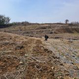 팜모닝 자유주제·자유게시판 게시글 이미지