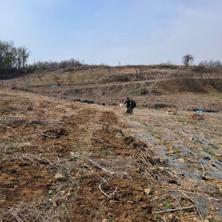 최종금님의 자유주제 · 자유게시판 작성글 사진