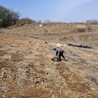 최종금님의 자유주제 · 자유게시판 작성글 사진