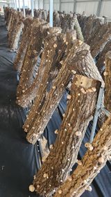 팜모닝 · 게시글 이미지