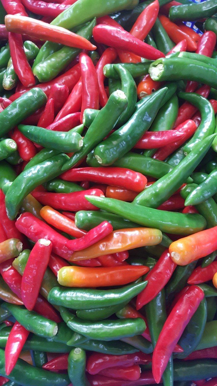 장금이1님의 장터 판매 상품 [열무풋고추김치] 첨부 사진