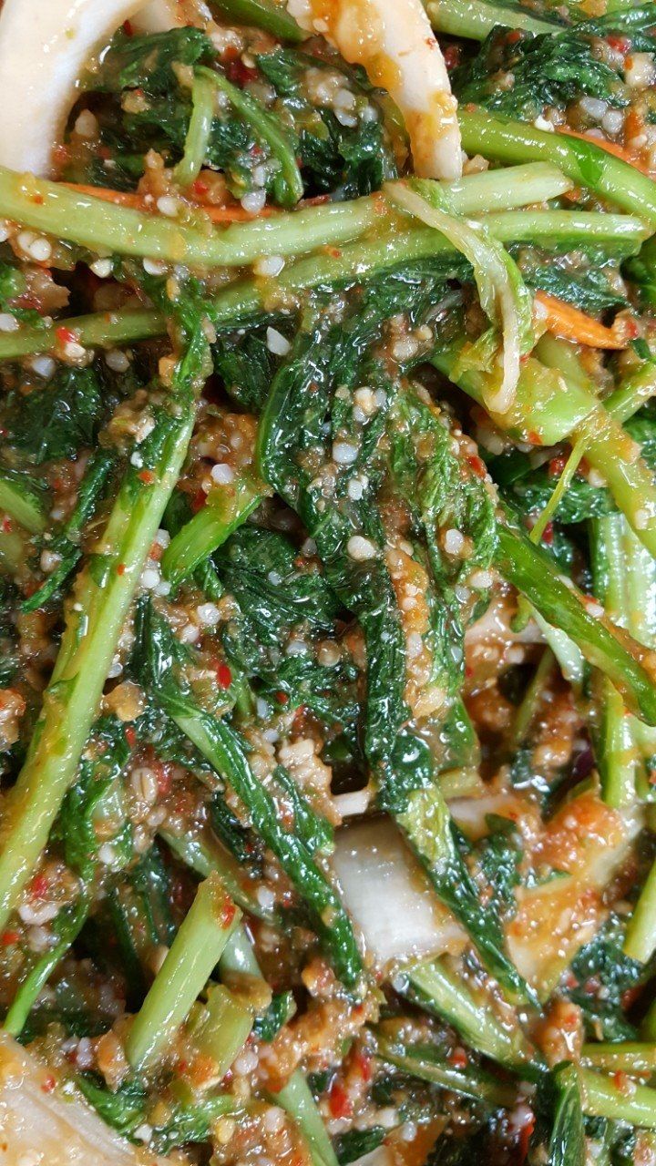 장금이1님의 장터 판매 상품 [열무풋고추김치] 첨부 사진