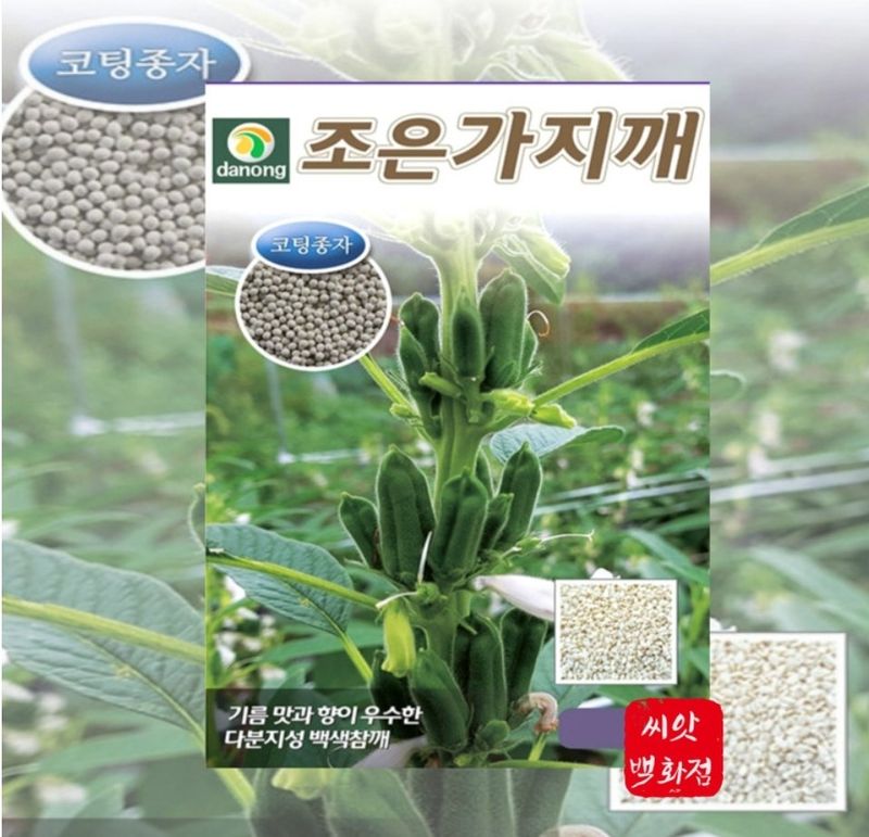 대산농사대장님의 장터 판매 상품 [조은가지깨[코팅종자]3천립 백색참깨] 첨부 사진