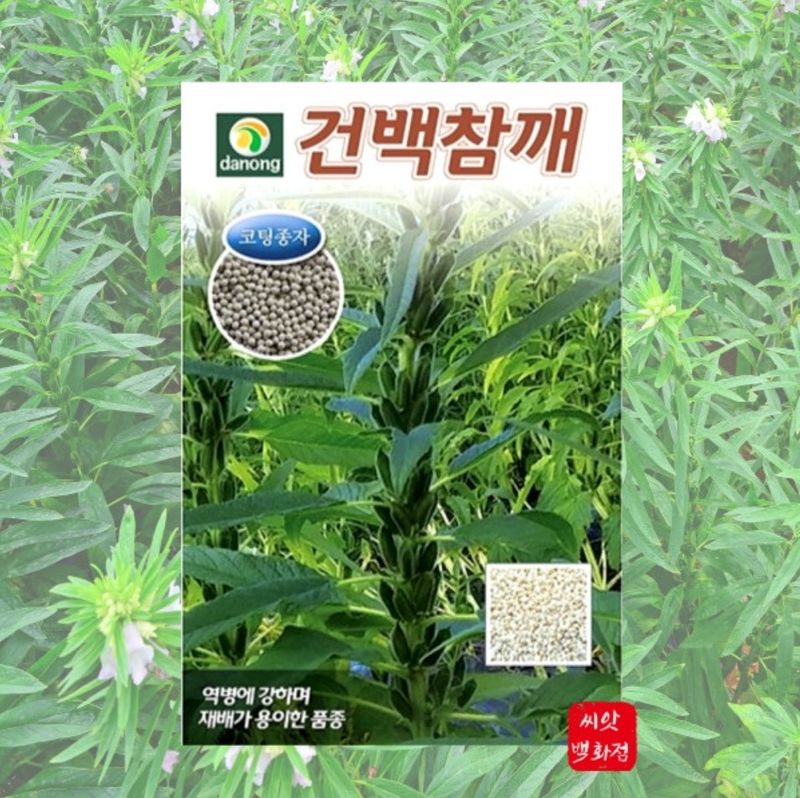 대산농사대장님의 장터 판매 상품 [수지맞은흑깨 코팅종자 3천립] 첨부 사진