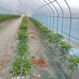 팜모닝 자유주제·자유게시판 게시글 이미지