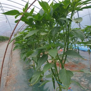 김혜순님의 자유주제 · 자유게시판 작성글 사진