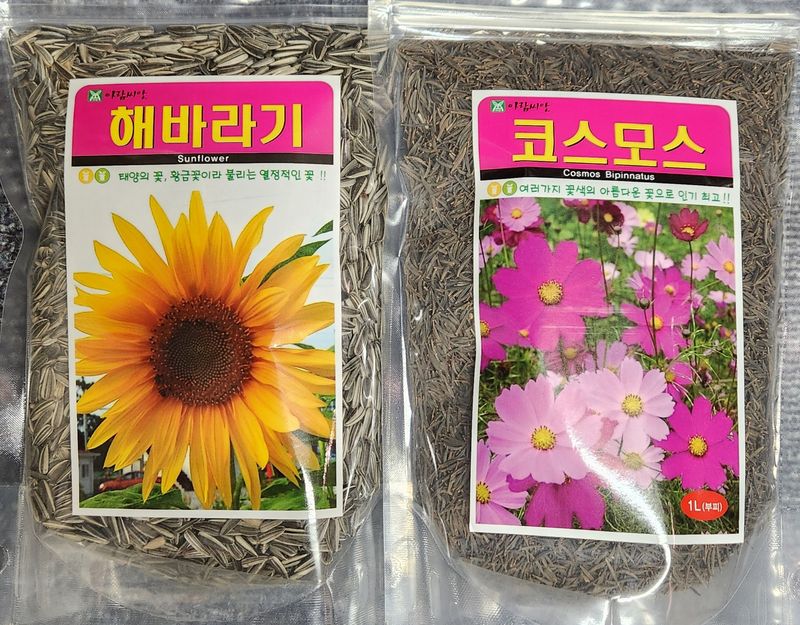 안산제일농약사님의 장터 판매 상품 [해바라기씨앗 코스모스씨앗] 첨부 사진