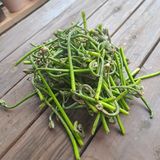 팜모닝 자유주제·자유게시판 게시글 이미지