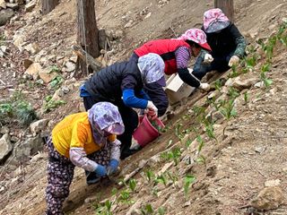 치유숲모이라양재순님의 기타작물 · 영농일지 작성글 사진