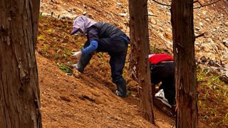 치유숲모이라양재순님의 기타작물 · 영농일지 작성글 사진