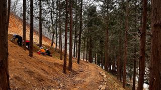 치유숲모이라양재순님의 기타작물 · 영농일지 작성글 사진