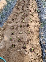 팜모닝 자유주제·칭찬해요 게시글 이미지