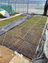 팜모닝 4월 내 작물 자랑하기·참여글 게시글 이미지