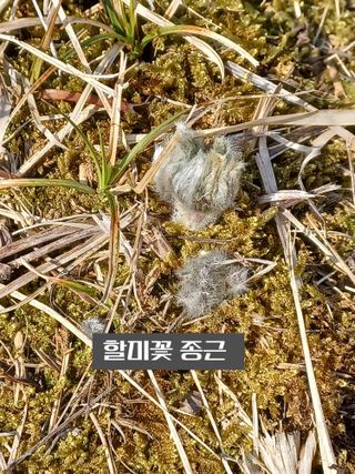 무료지식나눔 팜닥터님의 4월 내 작물 자랑하기 · 참여글 작성글 사진