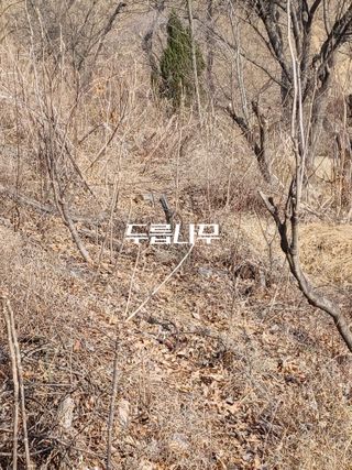 무료지식나눔 팜닥터님의 4월 내 작물 자랑하기 · 참여글 작성글 사진