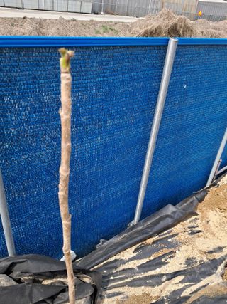 전희분님의 자유주제 · 칭찬해요 작성글 사진