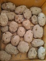 팜모닝 4월 내 작물 자랑하기·참여글 게시글 이미지