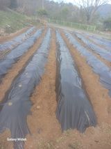 팜모닝 자유주제·자유게시판 게시글 이미지