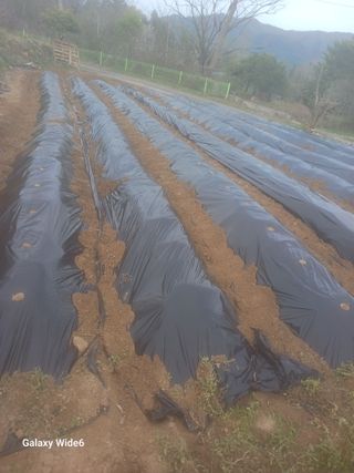 덕촌님의 자유주제 · 자유게시판 작성글 사진