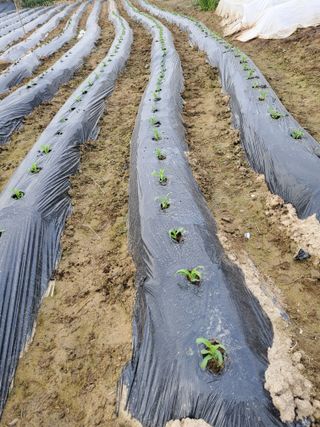 최남옥님의 자유주제 · 자유게시판 작성글 사진